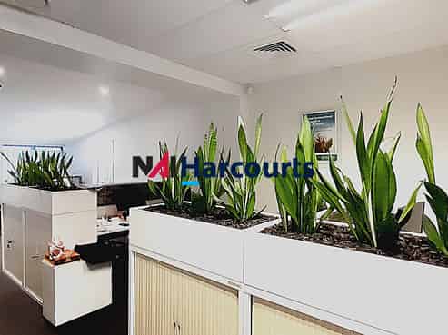 Quality Takapuna Retail Space 