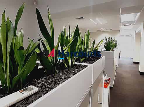 Quality Takapuna Retail Space 
