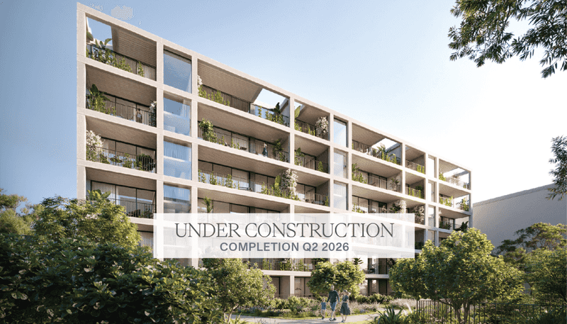 81 Carlton Gore Road, Newmarket