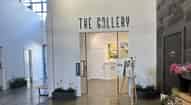 Open gallery