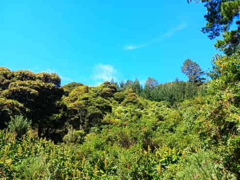  Te Karoa Road, Peria