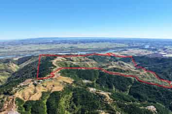 Abandoned 372ha harvested forestry block