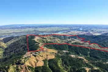 Abandoned 372ha harvested forestry block