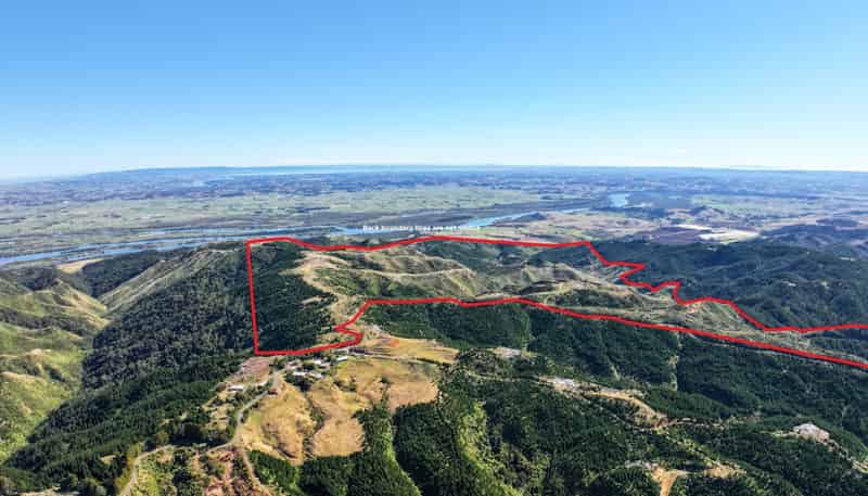 1036 Klondyke Road, Port Waikato