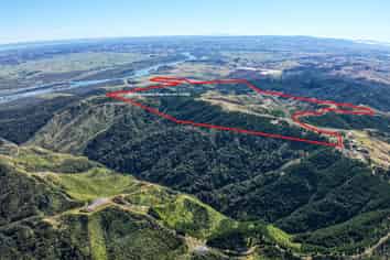 Abandoned 372ha harvested forestry block