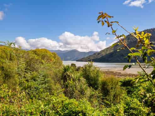 948 Queen Charlotte Drive, Linkwater