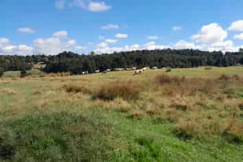 660 Waimate North Road, Kerikeri