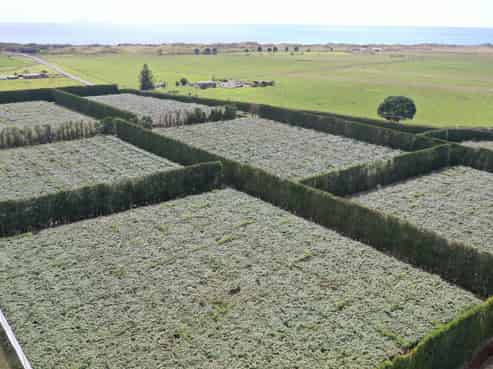 170 State Highway 35, Tirohanga