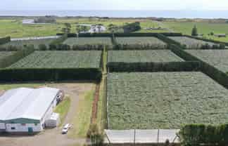 170 State Highway 35, Tirohanga