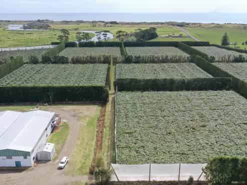 170 State Highway 35, Tirohanga