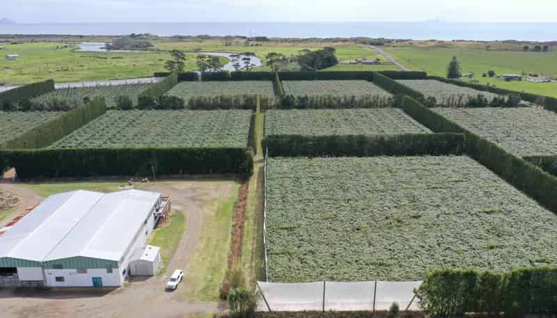 170 State Highway 35, Tirohanga