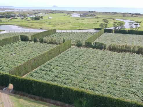 170 State Highway 35, Tirohanga
