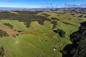 103 Randall Road, Kaka Point