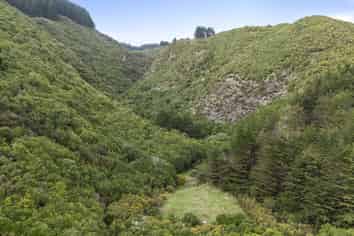 106 Harrison Hill Road, Aokautere