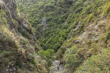 106 Harrison Hill Road, Aokautere