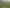 106 Harrison Hill Road, Aokautere