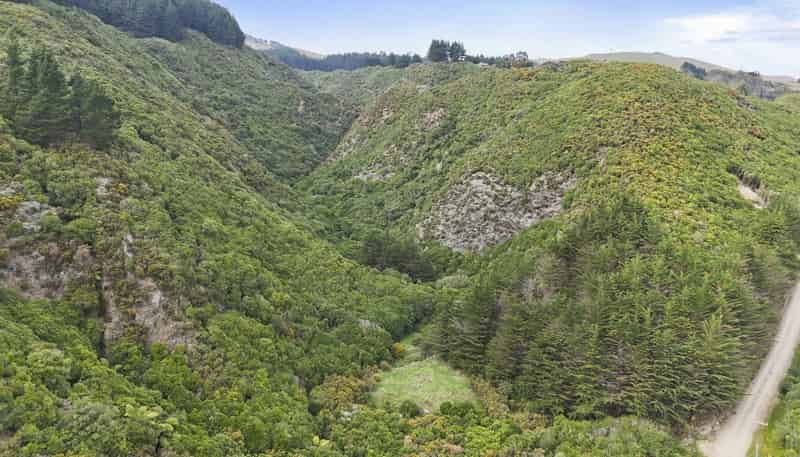 106 Harrison Hill Road, Aokautere