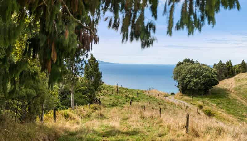 269 Ngatitangata Road, Waihi