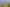 391 Porchester Road, Takanini