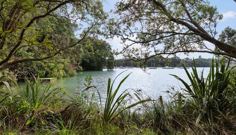 49 Hinemoa Street, Birkenhead