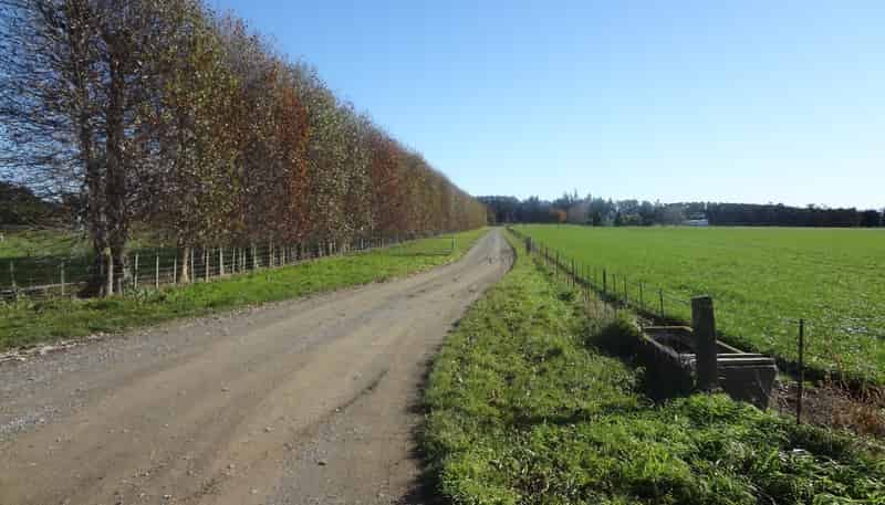 1041 Tikokino Road, Waipawa