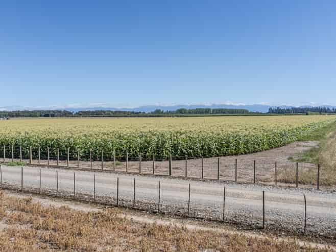 1041 Tikokino Road, Waipawa