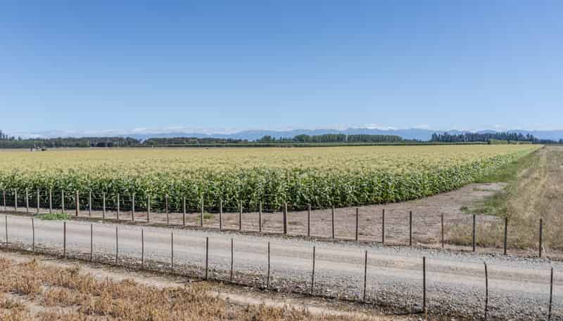 1041 Tikokino Road, Waipawa