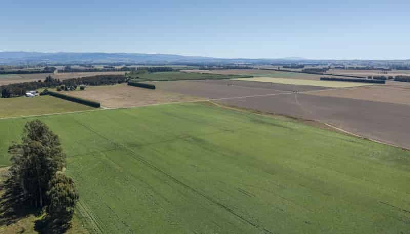 1041 Tikokino Road, Waipawa