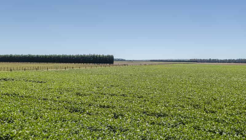 1041 Tikokino Road, Waipawa