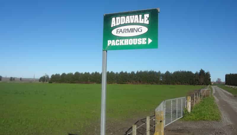 1041 Tikokino Road, Waipawa