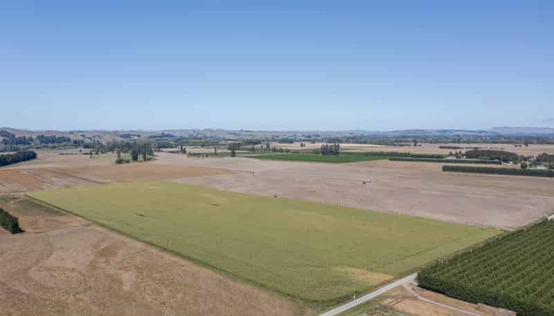 1041 Tikokino Road, Waipawa
