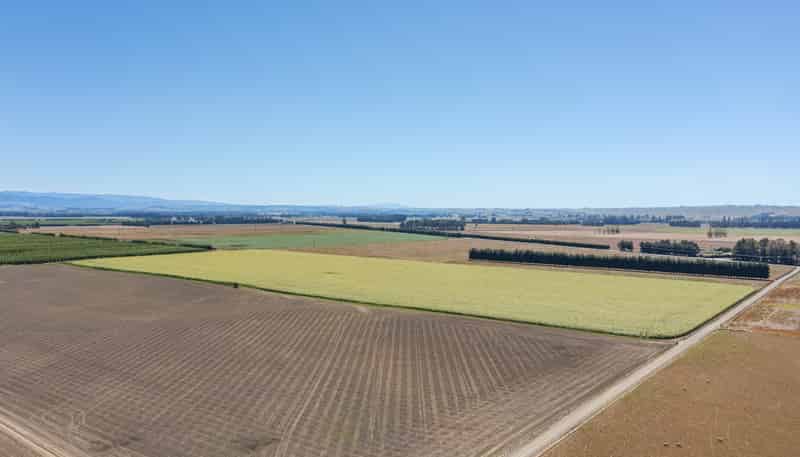 1041 Tikokino Road, Waipawa