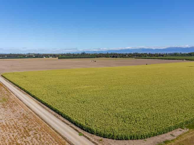 1041 Tikokino Road, Waipawa