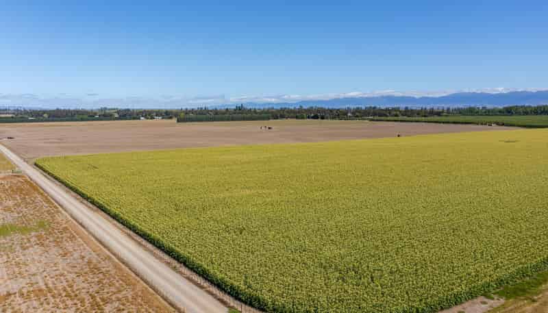 1041 Tikokino Road, Waipawa