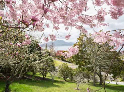 21 Brunette Drive, Acacia Bay