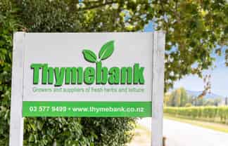 Thymebank - A Growing Investment