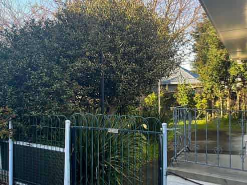 4 Millen Avenue, Pakuranga