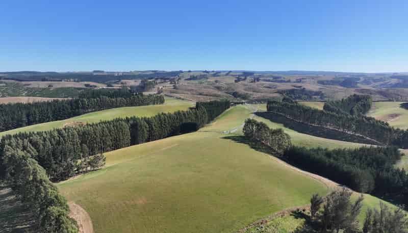 341 Table Hill Road, Milton