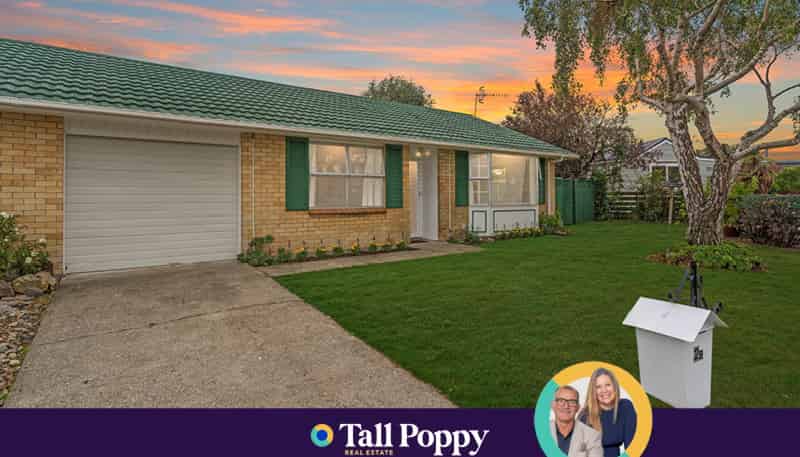 2B David Street, Waikanae
