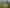 122 Forestry Road, Waitoki