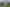 15 Neinei Place, Wharewaka