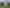 15 Neinei Place, Wharewaka