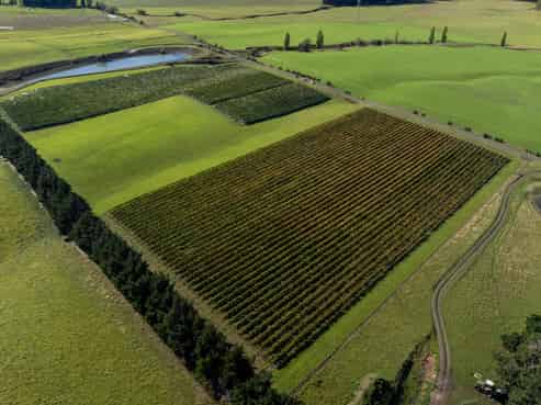 337 Mackenzies Road, Waipara