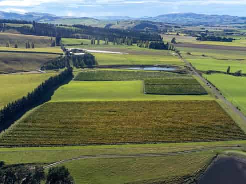 337 Mackenzies Road, Waipara