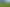  Waiareka Valley Road, Alma
