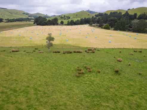 83 Towai Road, Dannevirke