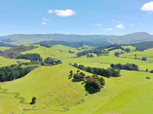 83 Towai Road, Dannevirke