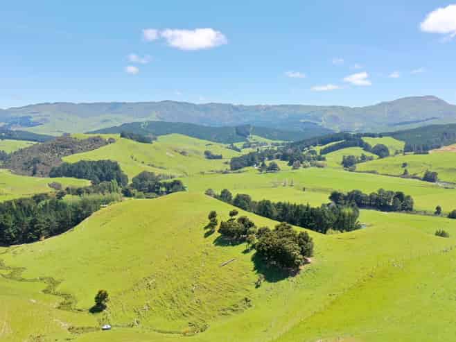 83 Towai Road, Dannevirke