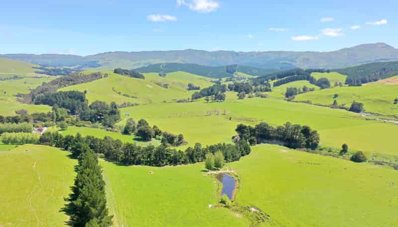 83 Towai Road, Dannevirke