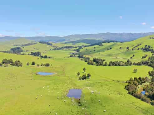 83 Towai Road, Dannevirke